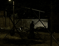 tumblr_lx98tzimXf1r8lxqco1_250.gif