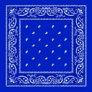 RoyalBlueBandana.jpg