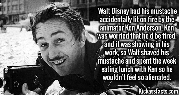 2027-Walt-Disney-Mustache.jpg