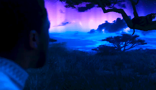 d4amvuo356qy.gif