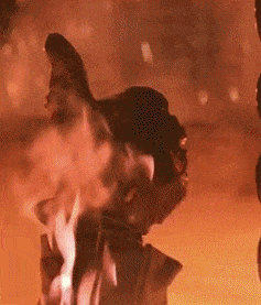 sj8eb20y4evh.gif