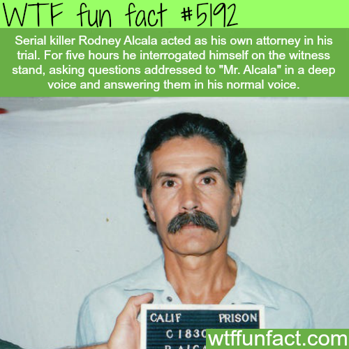 tumblr_o1seuwvMnD1roqv59o1_500.png