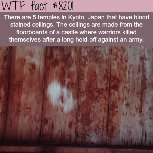 tumblr_p0gxxzGHmQ1roqv59o1_500.png