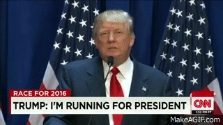 g7x6rb0aaw1a.gif