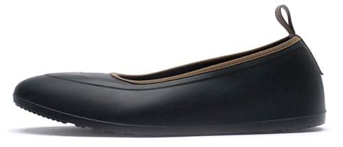 Galosh_Shoe.jpg