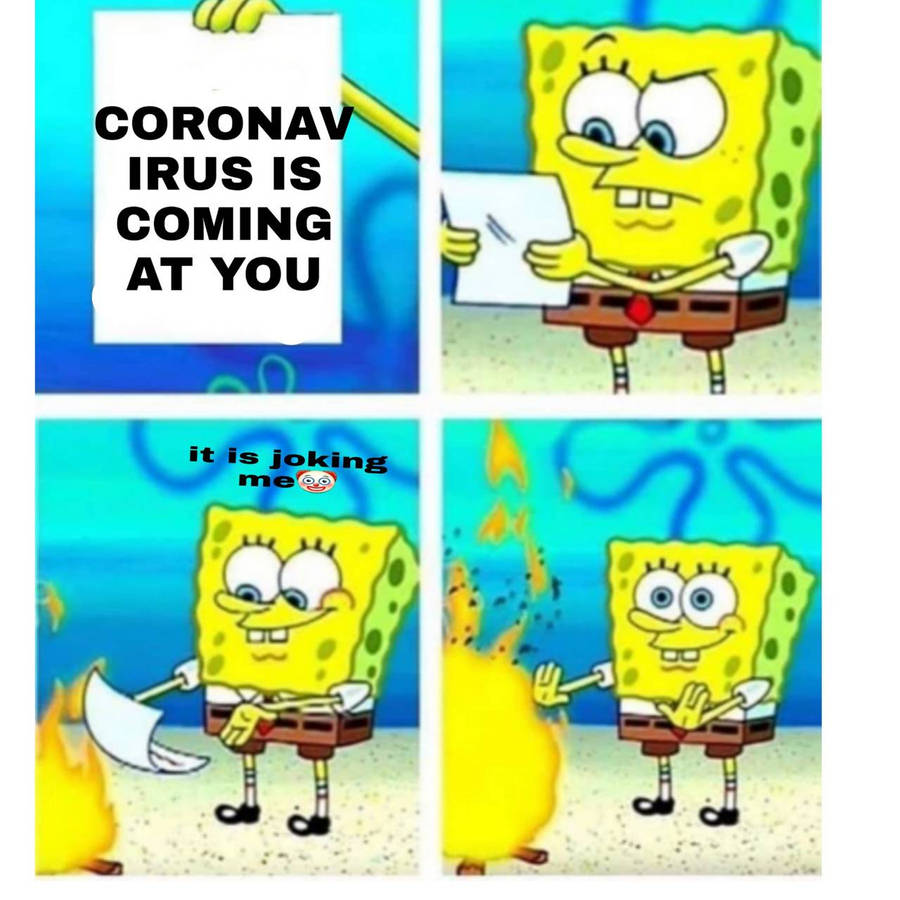 h60yq.jpg