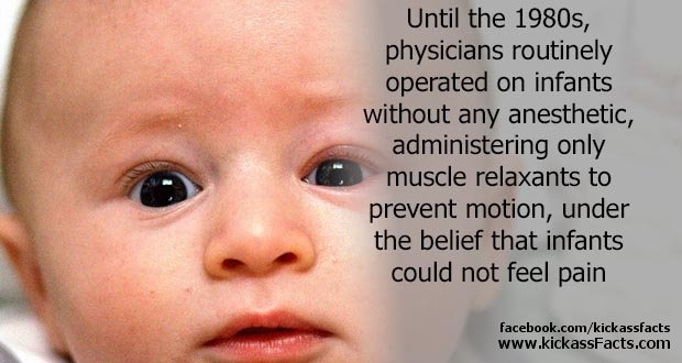 17Infants2.jpg