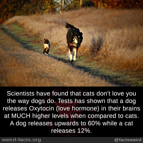 tumblr_otcnj9MV361szqwnwo1_500.jpg