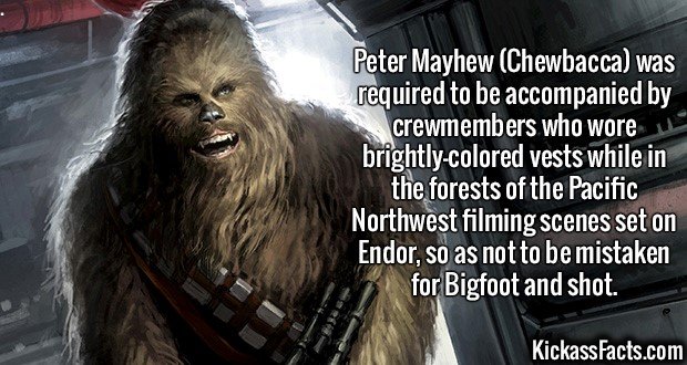 2609-Chewbacca.jpg