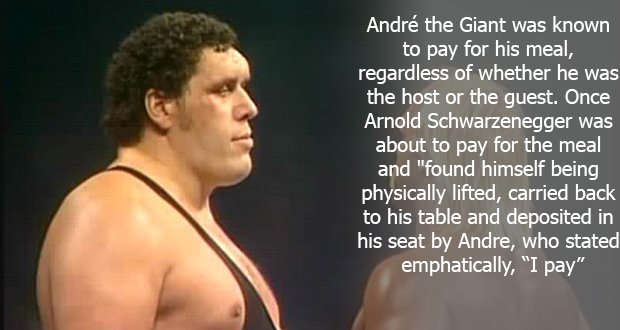 110Andr%C3%A9-the-Giant.jpg