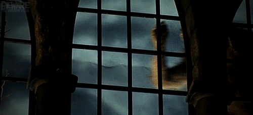 ijr8jkcdwidr.gif