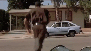 tumblr_mi1chrylM01r0b8vho1_400.gif