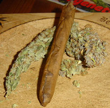 blunt14.jpg