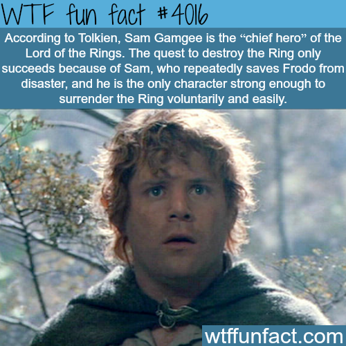 tumblr_noracqd8kx1roqv59o1_500.png