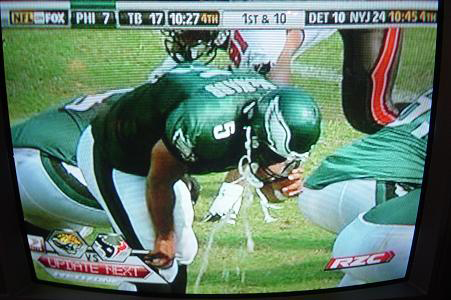 mcnabb-puke.jpg
