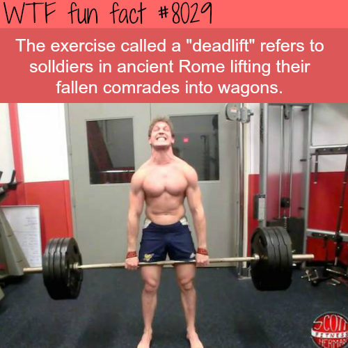 tumblr_oxs44dBV3w1roqv59o1_500.png