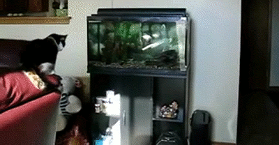 7695mkp75jo0.gif