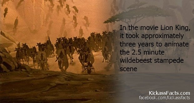 23Wildebeest-Stampede.jpg