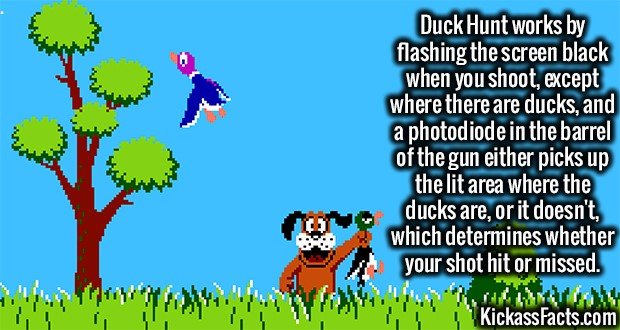 2028-Duck-Hunt.jpg