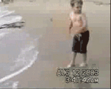 tumblr_lyde293DYM1r3gb3zo1_250.gif