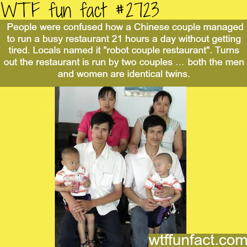 tumblr_n8d7q13hWh1roqv59o1_500.png
