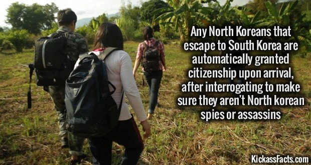 1146-North-Korean-Escapees.jpg