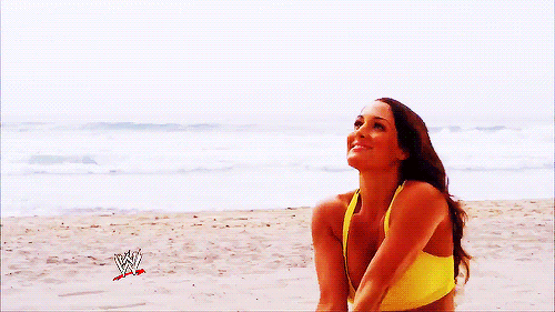 tumblr_moq0vknm3X1sw0sxjo1_500.gif