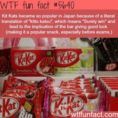 tumblr_o5sp0sDeSO1roqv59o1_500.png