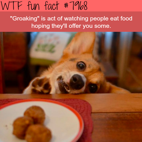tumblr_owta5qmxvE1roqv59o1_500.png