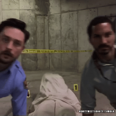 tumblr_nhmcjbdFri1snb2l4o4_r1_400.gif