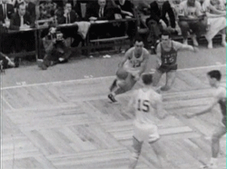 tumblr_m8qk66yQf41ruzeslo4_250.gif