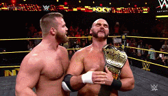 tumblr_o08ymjibh71ql0k28o10_250.gif
