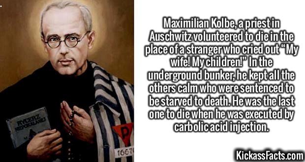 2564-Maximilian-Kolbe.jpg