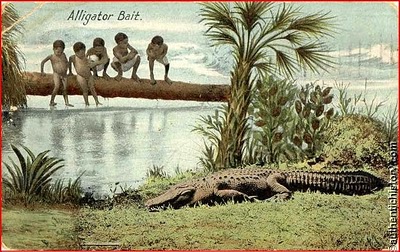 gator+bait11.jpg