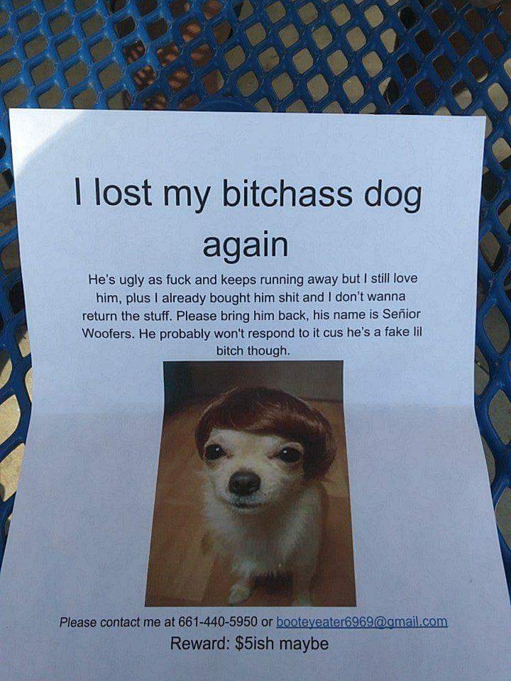 cgwyhsfe9nav.jpg