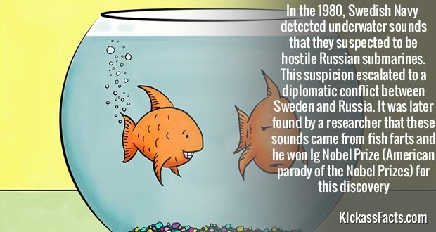 286FishFarts.jpg