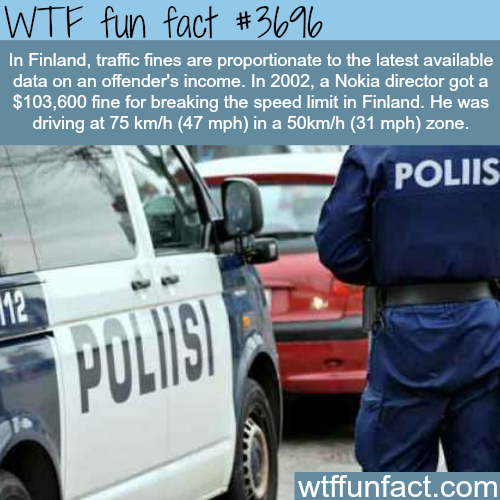 tumblr_nl0xjgcd5U1roqv59o1_500.png