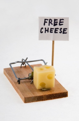 Free%20Cheese.jpg