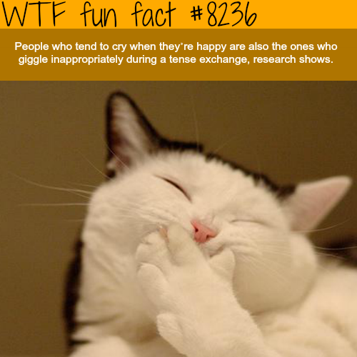tumblr_p0xm2u8AkH1roqv59o1_500.png