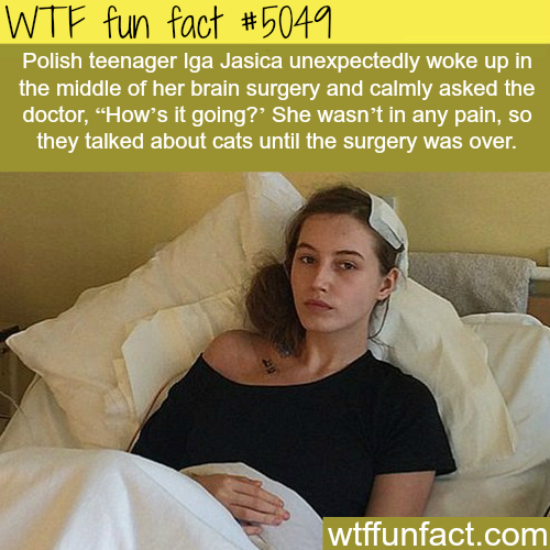 tumblr_o05sxpcKu31roqv59o1_500.png