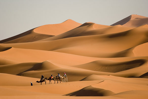 filepicker%2FOfnSqNriT96HVPMSOu77_Sahara_Occidental_paysage.jpg