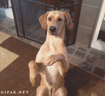 tumblr_mtujzpPABk1ro48mmo1_400.gif