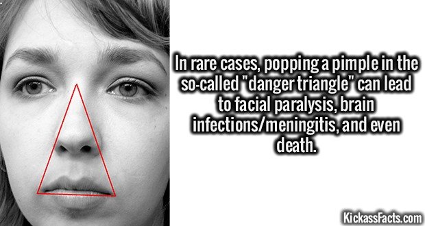 2195-Danger-triangle.jpg
