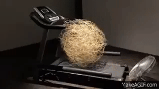 09zcrdznt8ge.gif