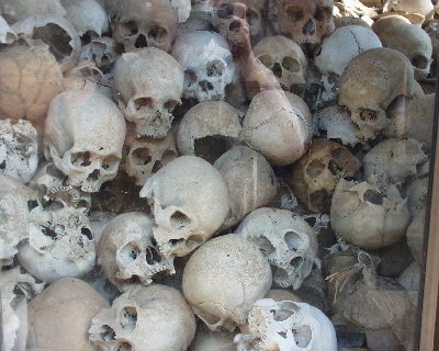 Z%20Killing%20Fields.jpg