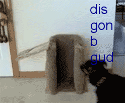 05b.gif