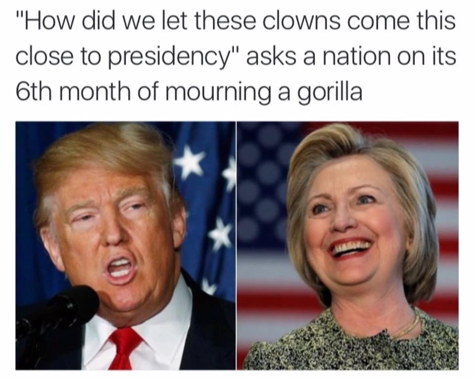 1ggjwmd5htr4.jpg