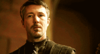 hdo2hc4e7kv0.gif