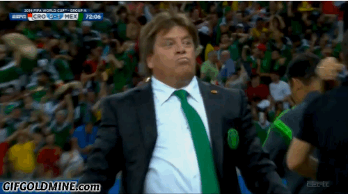 qvfmev8xlb77.gif