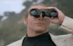 p2l8da7kzp7y.gif